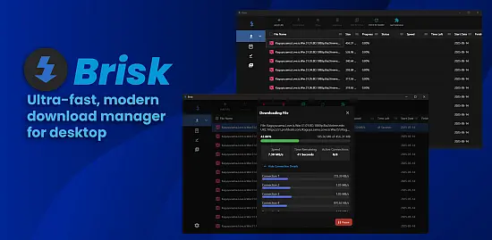brisk-downloader-portable