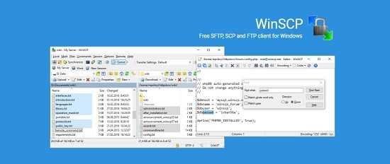 download winscp portable