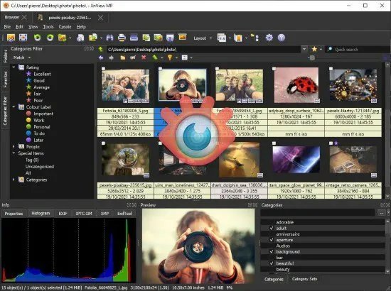 xnviewmp-portable